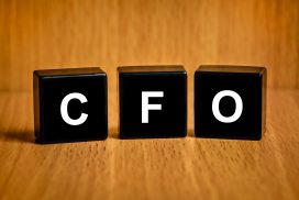 Fractional CFO Expertise