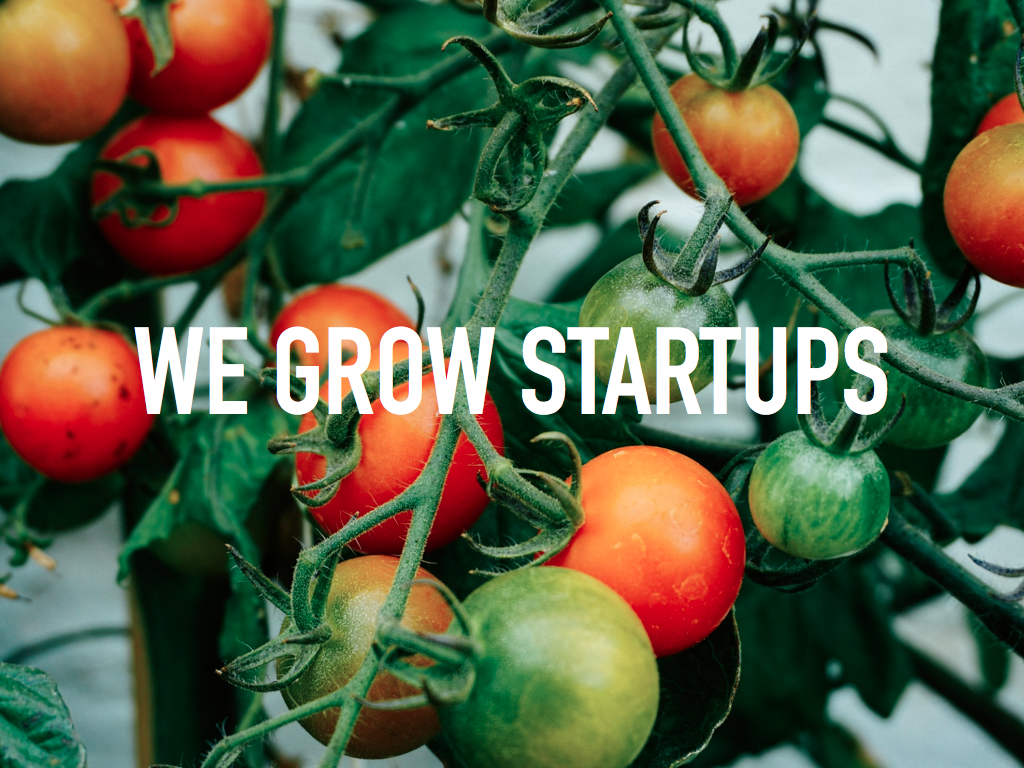 We Grow Startups