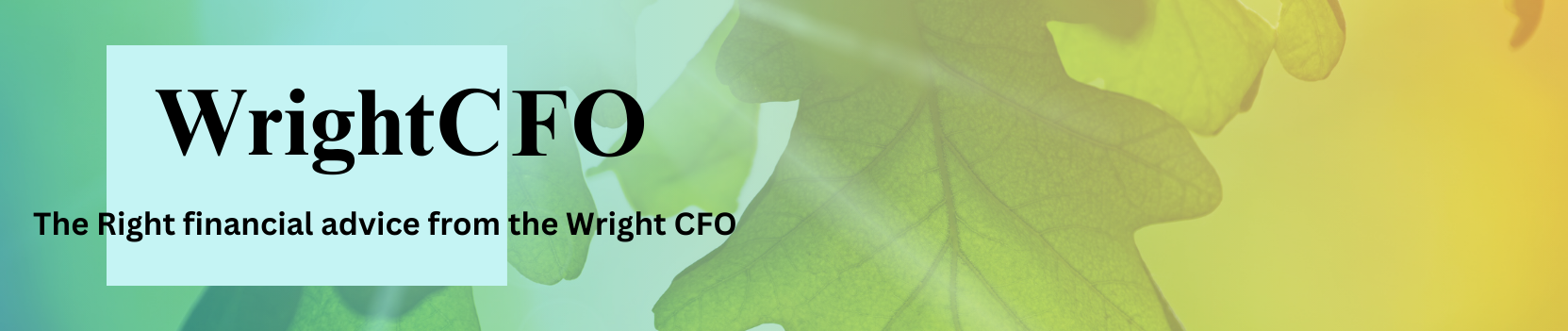 WrightCFO - Finance director support - Fractional CFO