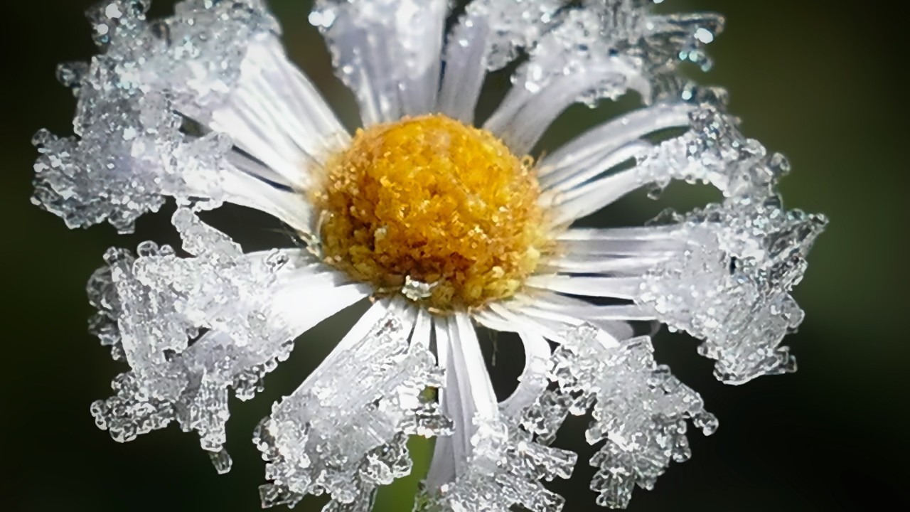 Resilience is the new growth strategy