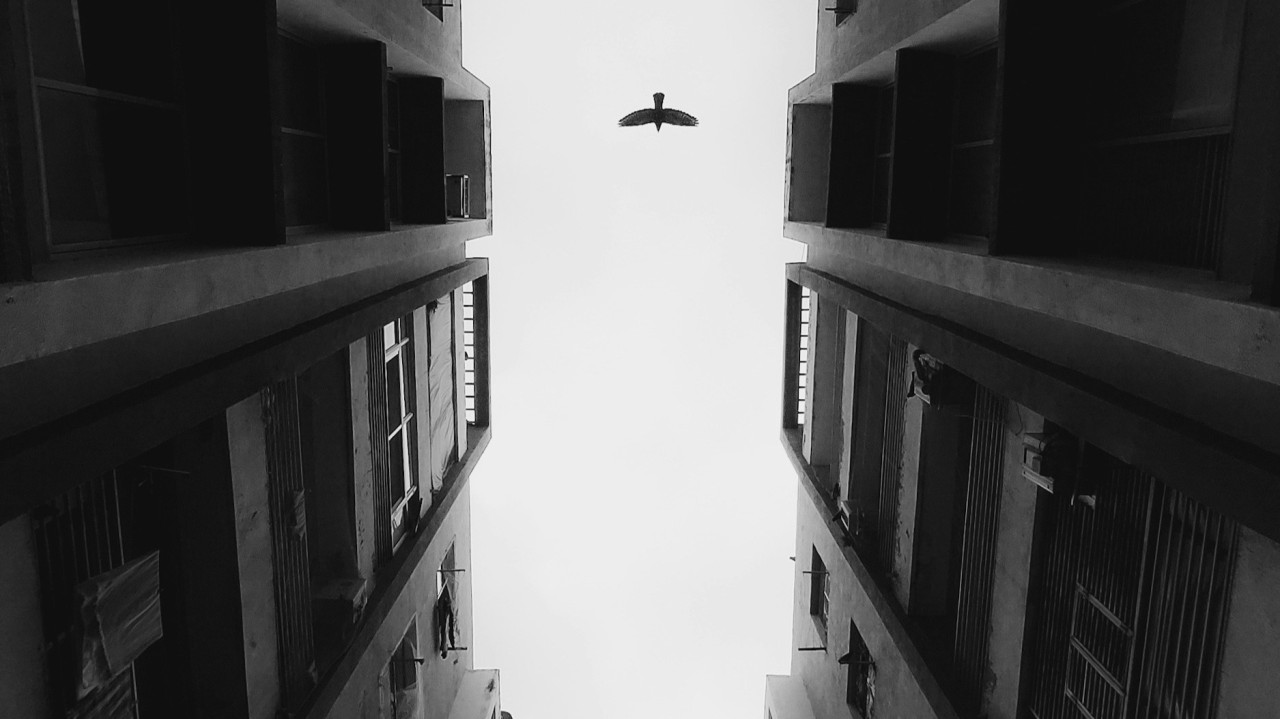 Is Your Financial Insight Truly Impartial? The Power of an External CFO Perspective
