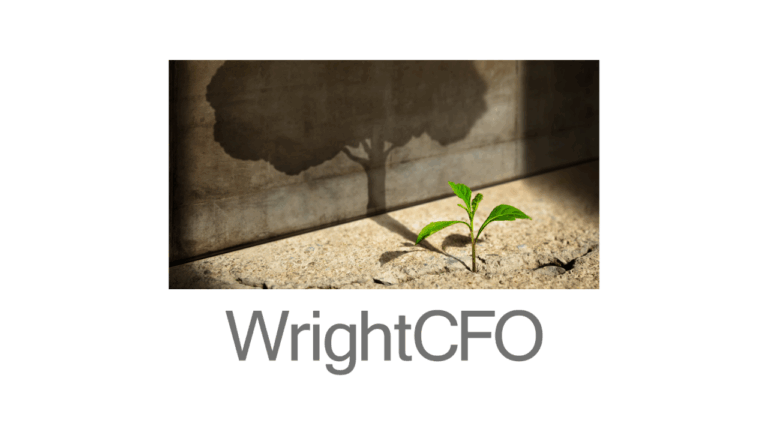 WrightCFO Fractional CFO agency