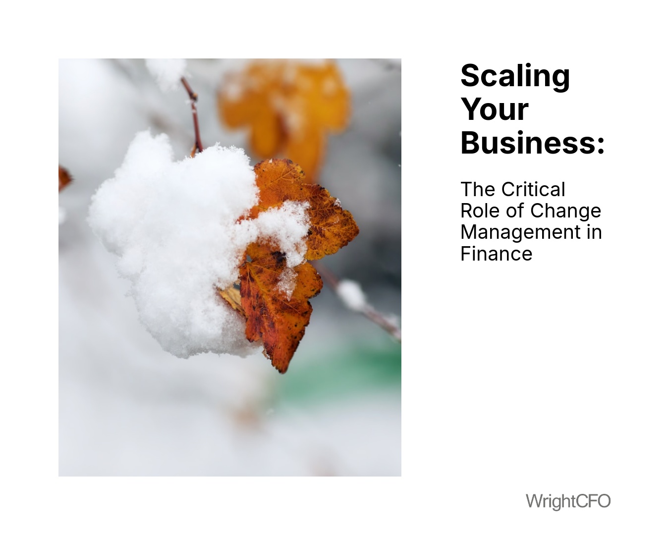 Is Your Business Valuation Real or Just the Emper 5x4 1 1