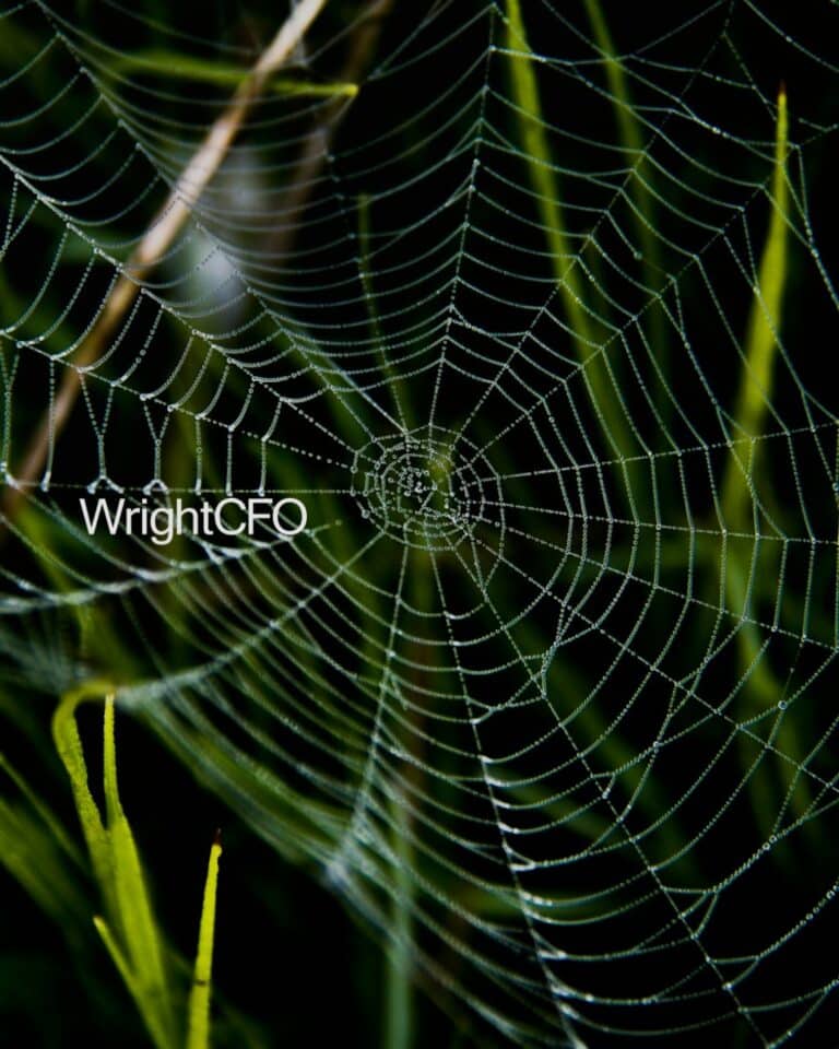 Sophie Wright, Fractional CFO UK, presenting a financial growth chart illustrating the 'Profitability Trap' where revenue increases but net profit remains flat. A strategic guide for tech and media firms scaling from £1M to £5M.